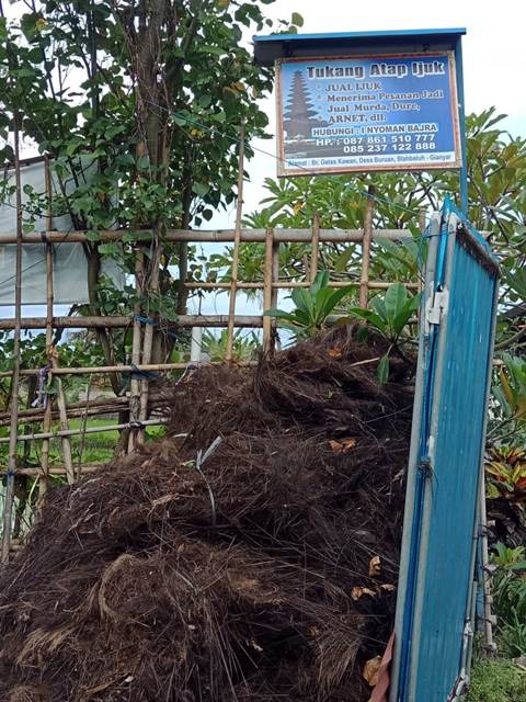 atap ijuk bali6